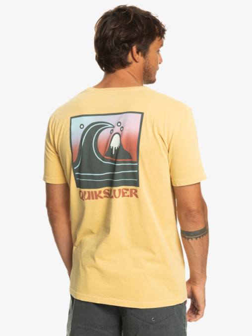 trigo camiseta con sello de burbuja qs D6T4D1157 hombres Quiksilver
