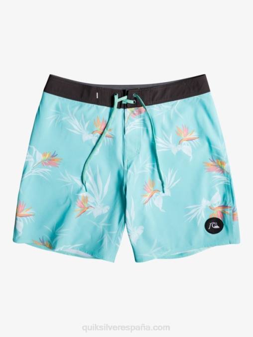 Angel Azul shorts de playa surfsilk lavados 18 D6T4D1760 hombres Quiksilver