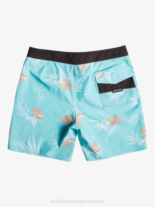 Angel Azul shorts de playa surfsilk lavados 18 D6T4D1760 hombres Quiksilver