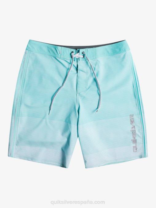 Angel Azul surfsilk masivo 20 shorts de playa D6T4D1598 hombres Quiksilver
