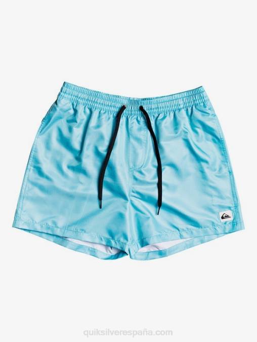 Pacifico Azul todos los días 15 voleas D6T4D466 hombres Quiksilver