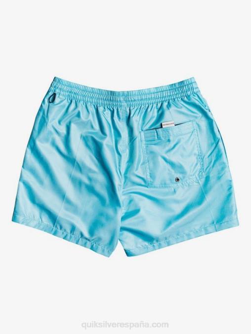 Pacifico Azul todos los días 15 voleas D6T4D466 hombres Quiksilver