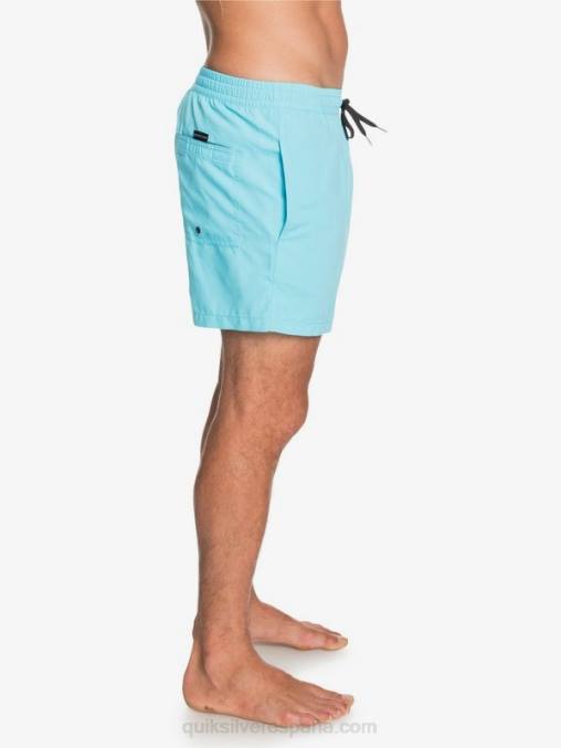 Pacifico Azul todos los días 15 voleas D6T4D466 hombres Quiksilver