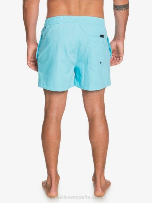Pacifico Azul todos los días 15 voleas D6T4D466 hombres Quiksilver