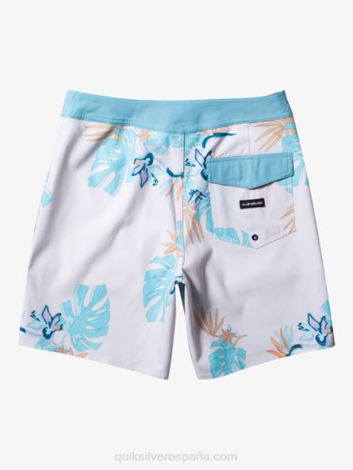 abedul bañador surfsilk qs 69 18 D6T4D238 hombres Quiksilver
