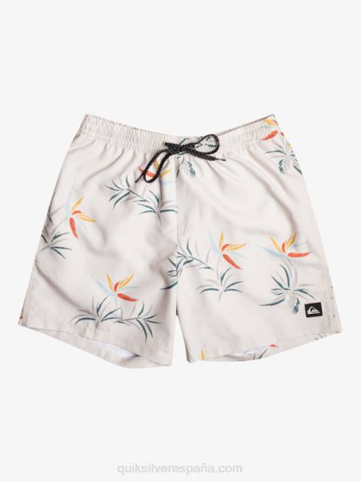 abedul mezcla todos los días 17 voleas D6T4D676 hombres Quiksilver