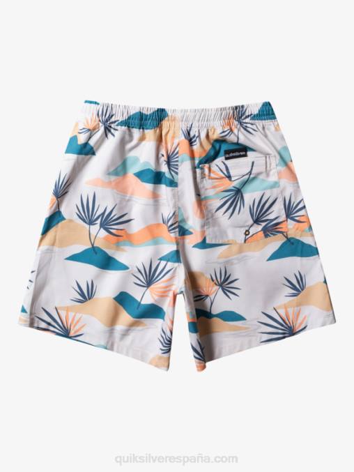 abedul mezcla todos los días 17 voleas D6T4D678 hombres Quiksilver