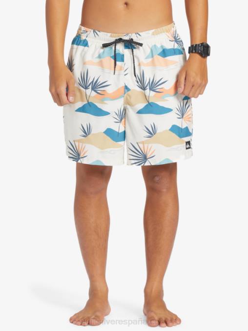 abedul mezcla todos los días 17 voleas D6T4D678 hombres Quiksilver