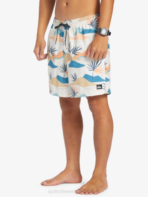 abedul mezcla todos los días 17 voleas D6T4D678 hombres Quiksilver
