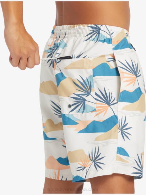 abedul mezcla todos los días 17 voleas D6T4D678 hombres Quiksilver