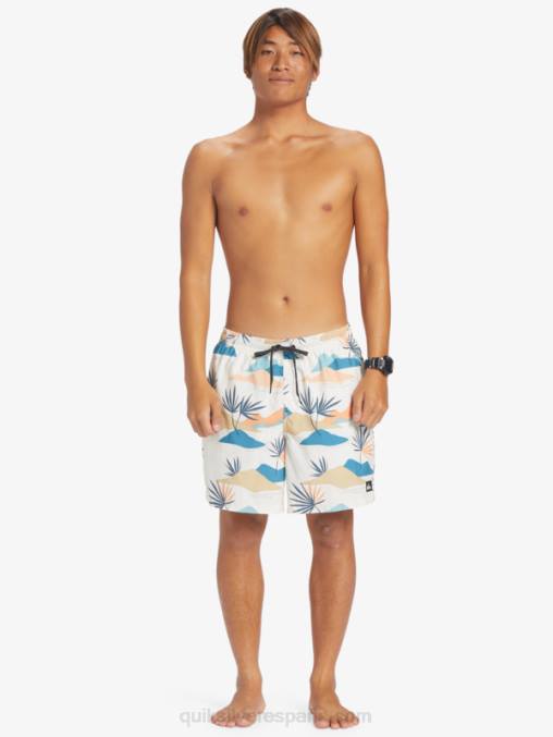 abedul mezcla todos los días 17 voleas D6T4D678 hombres Quiksilver