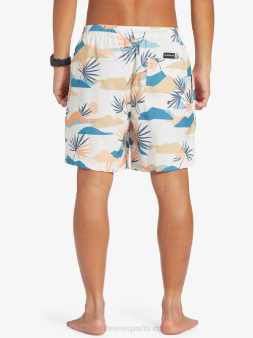 abedul mezcla todos los días 17 voleas D6T4D678 hombres Quiksilver