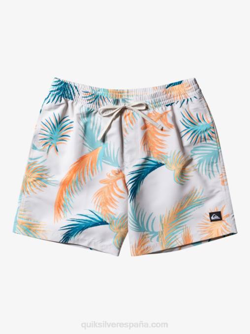 abedul remezclar 17 voleas D6T4D355 hombres Quiksilver