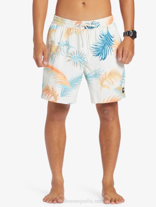 abedul remezclar 17 voleas D6T4D355 hombres Quiksilver
