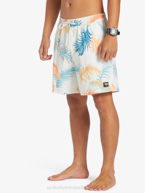abedul remezclar 17 voleas D6T4D355 hombres Quiksilver