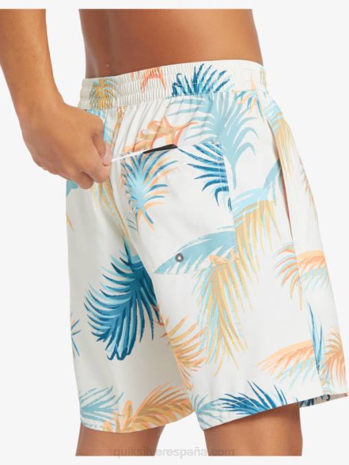 abedul remezclar 17 voleas D6T4D355 hombres Quiksilver