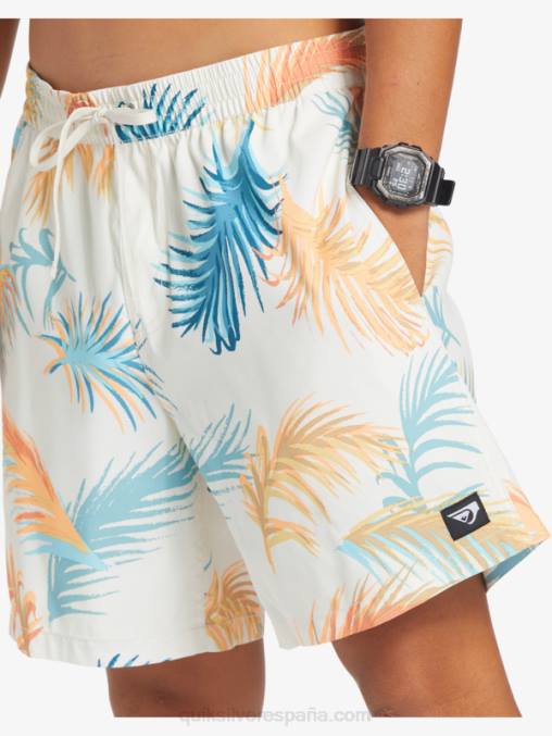 abedul remezclar 17 voleas D6T4D355 hombres Quiksilver