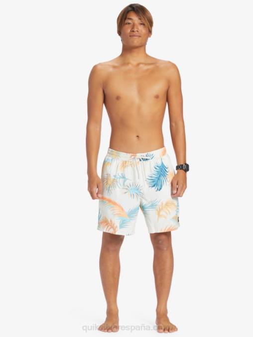 abedul remezclar 17 voleas D6T4D355 hombres Quiksilver
