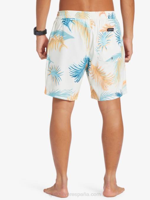 abedul remezclar 17 voleas D6T4D355 hombres Quiksilver