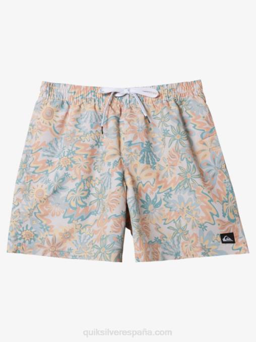 abedul remezclar 17 voleas D6T4D357 hombres Quiksilver