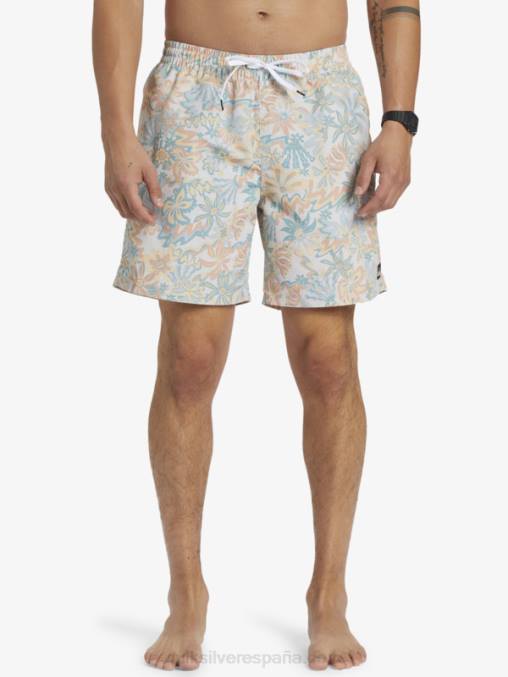 abedul remezclar 17 voleas D6T4D357 hombres Quiksilver