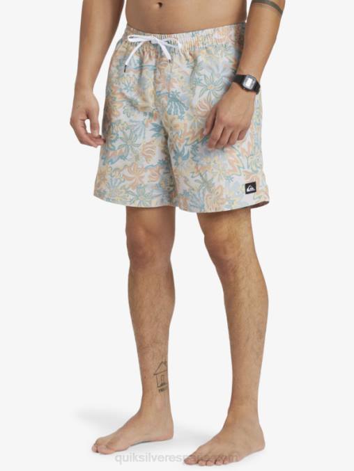 abedul remezclar 17 voleas D6T4D357 hombres Quiksilver