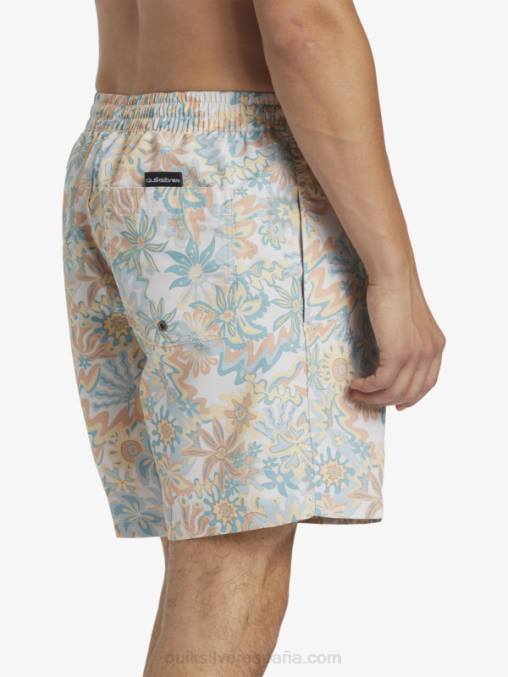 abedul remezclar 17 voleas D6T4D357 hombres Quiksilver