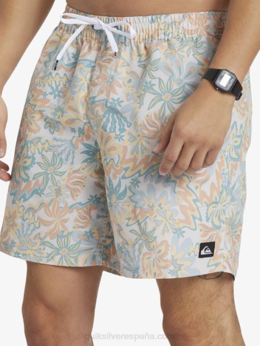abedul remezclar 17 voleas D6T4D357 hombres Quiksilver