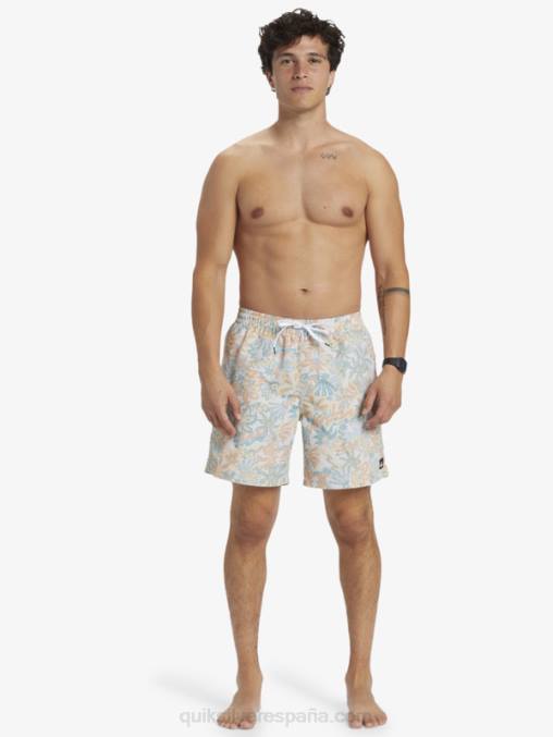 abedul remezclar 17 voleas D6T4D357 hombres Quiksilver