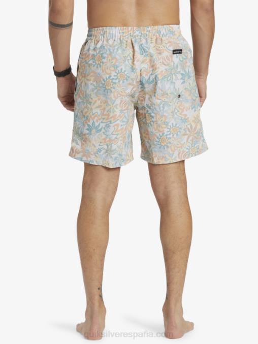 abedul remezclar 17 voleas D6T4D357 hombres Quiksilver
