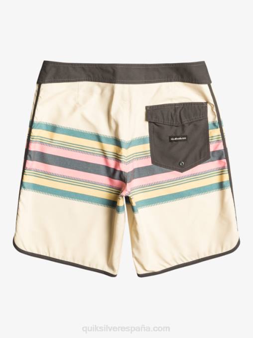 abedul shorts de baño todos los días festoneado 19 D6T4D767 hombres Quiksilver