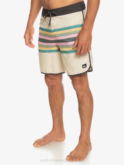abedul shorts de baño todos los días festoneado 19 D6T4D767 hombres Quiksilver