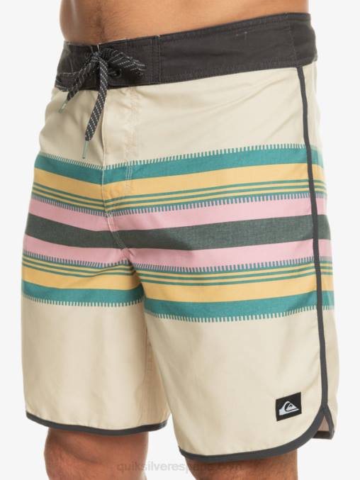 abedul shorts de baño todos los días festoneado 19 D6T4D767 hombres Quiksilver