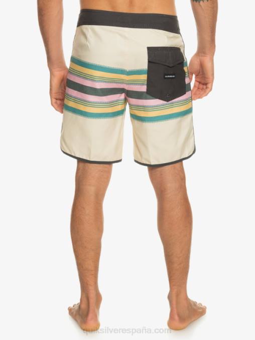 abedul shorts de baño todos los días festoneado 19 D6T4D767 hombres Quiksilver