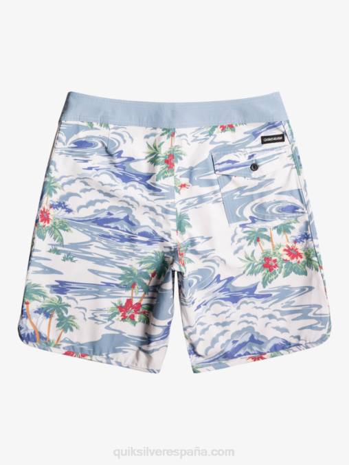 abedul shorts de playa cáñamo elástico festoneado 19 D6T4D1739 hombres Quiksilver
