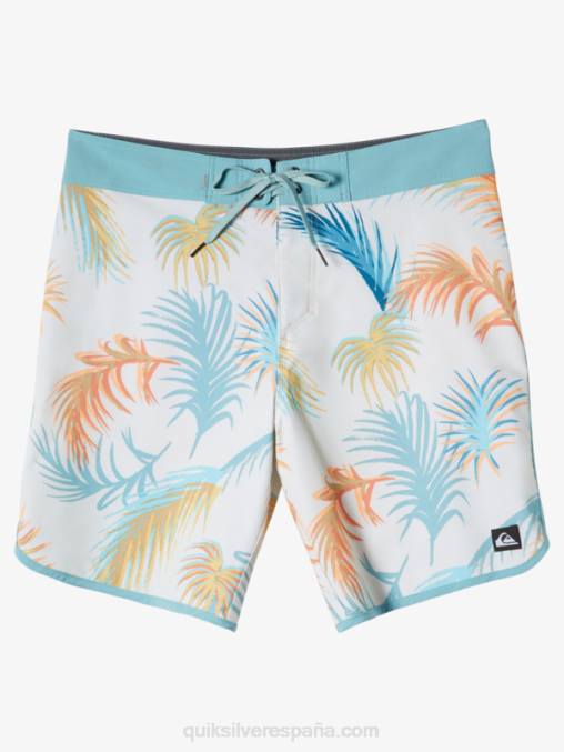 abedul shorts de playa surfsilk festoneado 19 D6T4D215 hombres Quiksilver