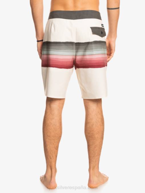 abedul shorts de playa surfsilk resin tint 19 D6T4D1443 hombres Quiksilver