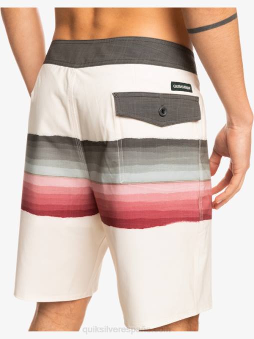 abedul shorts de playa surfsilk resin tint 19 D6T4D1443 hombres Quiksilver