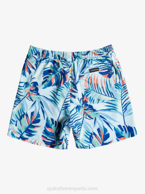 agua helada ocean mix 17 voleas D6T4D1707 hombres Quiksilver