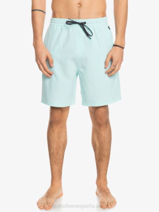 agua helada shorts elásticos ocean 18 anfibios D6T4D351 hombres Quiksilver