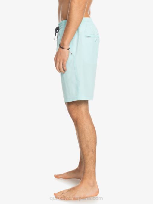agua helada shorts elásticos ocean 18 anfibios D6T4D351 hombres Quiksilver