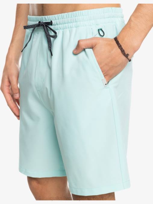 agua helada shorts elásticos ocean 18 anfibios D6T4D351 hombres Quiksilver