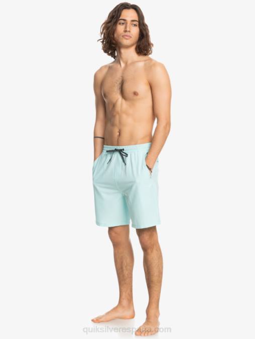 agua helada shorts elásticos ocean 18 anfibios D6T4D351 hombres Quiksilver