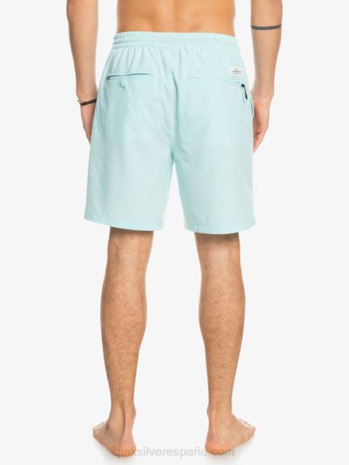 agua helada shorts elásticos ocean 18 anfibios D6T4D351 hombres Quiksilver