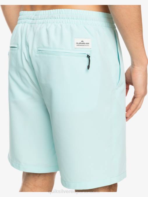 agua helada shorts elásticos ocean 18 anfibios D6T4D351 hombres Quiksilver