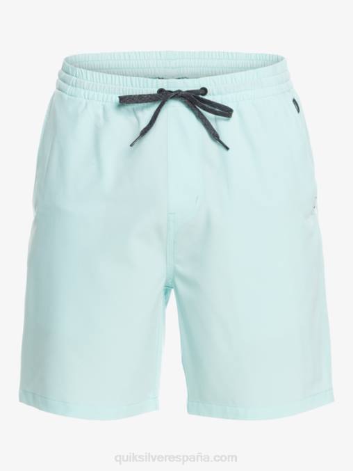agua helada shorts elásticos ocean 18 anfibios D6T4D351 hombres Quiksilver