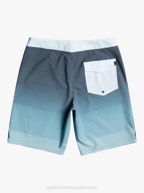 agua helada surfsilk masivo 20 shorts de playa D6T4D1594 hombres Quiksilver