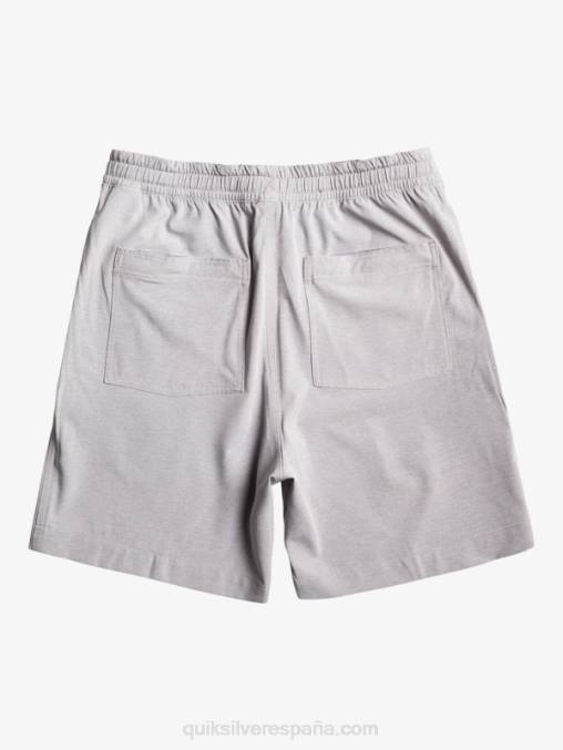 aguanieve taxer heather 18 bañadores anfibios D6T4D301 hombres Quiksilver