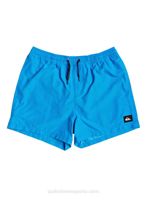 alegre todos los días 15 voleas D6T4D461 hombres Quiksilver
