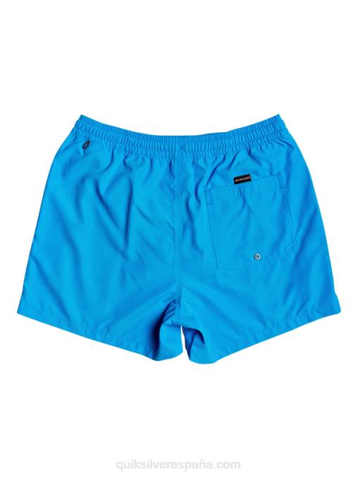 alegre todos los días 15 voleas D6T4D461 hombres Quiksilver